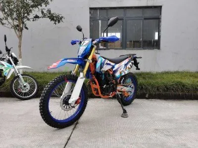 Мотоцикл кроссовый / эндуро ROLIZ (Ролиз) SPORT - 007 ZS172FMM синий с ПТС