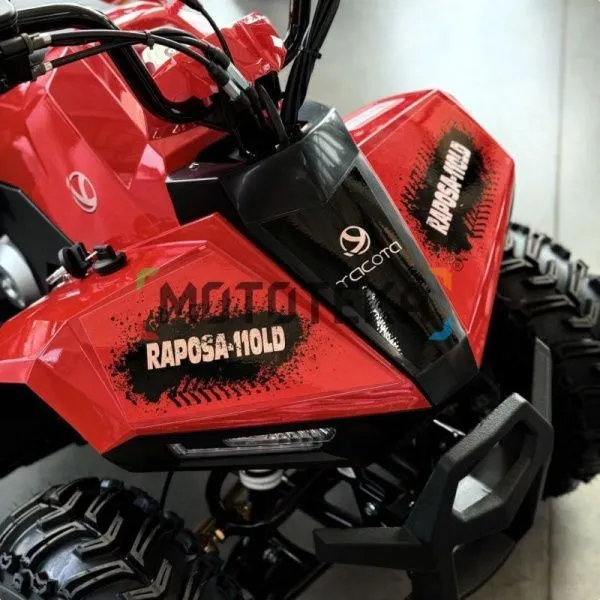 Квадроцикл детский YACOTA (Якота) RAPOSA 110 красный (машинокомплект) | Мототека