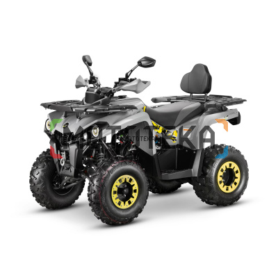 Квадроцикл GLADIATOR (Гладиатор) F200 LUX серый (машинокомплект)
