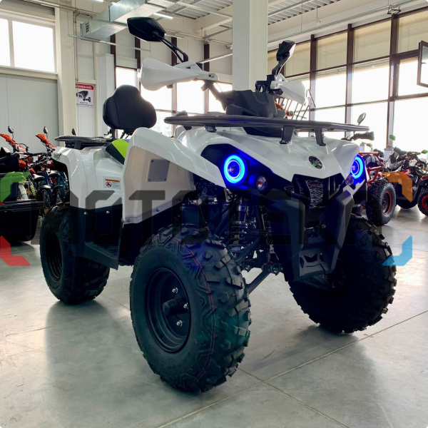 Квадроцикл GLADIATOR (Гладиатор) F200 белый с ПСМ | Мототека